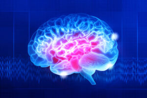 New York Academy of Sciences Partners with Leon Levy Foundation to Expand Opportunities for Young Neuroscientists